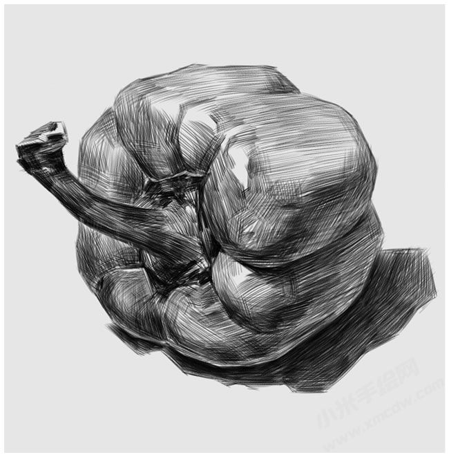 素描彩椒的畫法步驟圖示04.jpg
