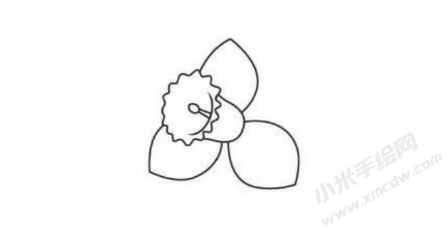 水仙花幼兒簡筆畫分步繪制圖示03.jpg