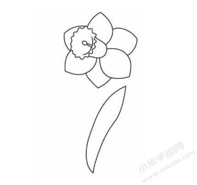 水仙花幼兒簡筆畫分步繪制圖示04.jpg