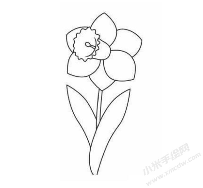 水仙花幼兒簡筆畫分步繪制圖示05.jpg