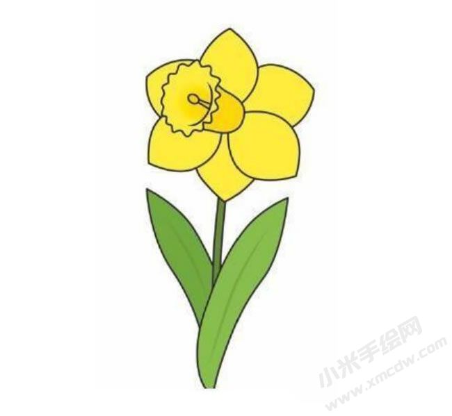 水仙花幼兒簡筆畫分步繪制圖示06.jpg