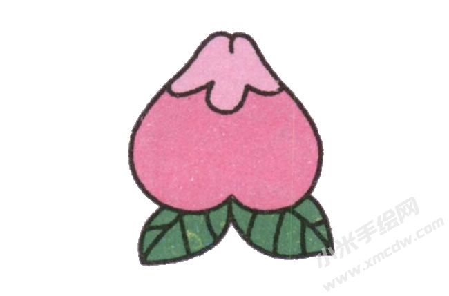 桃子幼兒簡筆畫繪制步驟圖示06.jpg