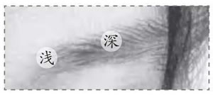 男生素描眉毛細(xì)節(jié).jpg