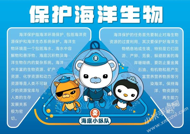 保護(hù)海洋生物手抄報(bào)內(nèi)容模板有字版.jpg
