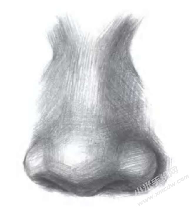 人物鼻子的素描畫(huà)法步驟圖示05.jpg