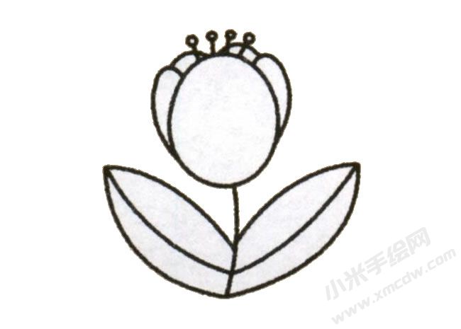 簡(jiǎn)筆畫郁金香畫法步驟圖示05.jpg