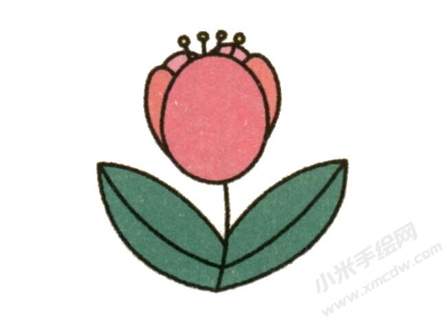 簡(jiǎn)筆畫郁金香畫法步驟圖示06.jpg