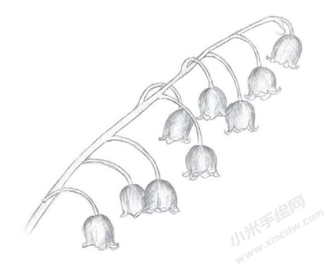 鈴蘭花素描畫法步驟圖示02.jpg