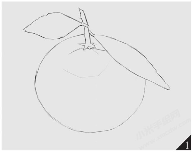 橘子素描畫(huà)法步驟圖示01.jpg
