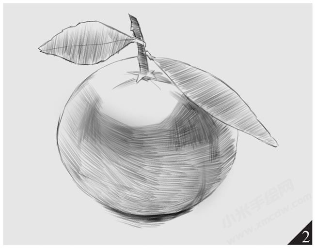 橘子素描畫(huà)法步驟圖示02.jpg