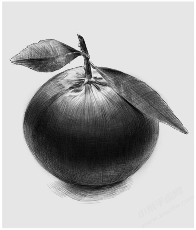 橘子素描畫(huà)法步驟圖示04.jpg