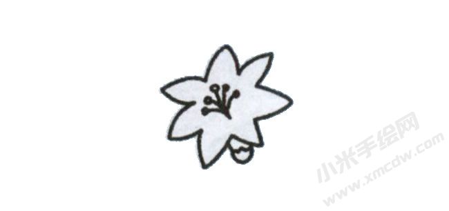 簡筆畫百合花畫法步驟圖示03.jpg