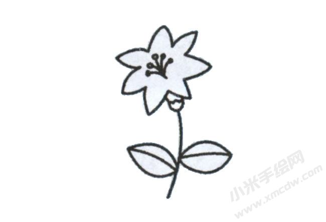 簡筆畫百合花畫法步驟圖示04.jpg