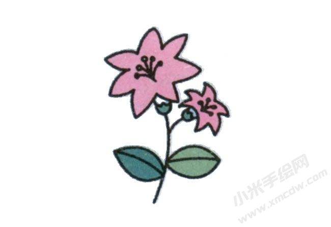 簡筆畫百合花畫法步驟圖示06.jpg