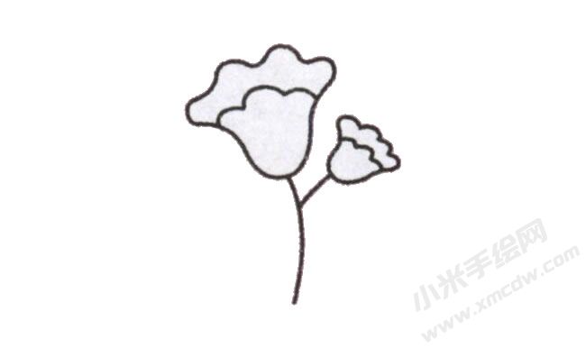 簡筆畫雞冠花畫法步驟圖示04.jpg