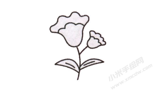 簡筆畫雞冠花畫法步驟圖示05.jpg