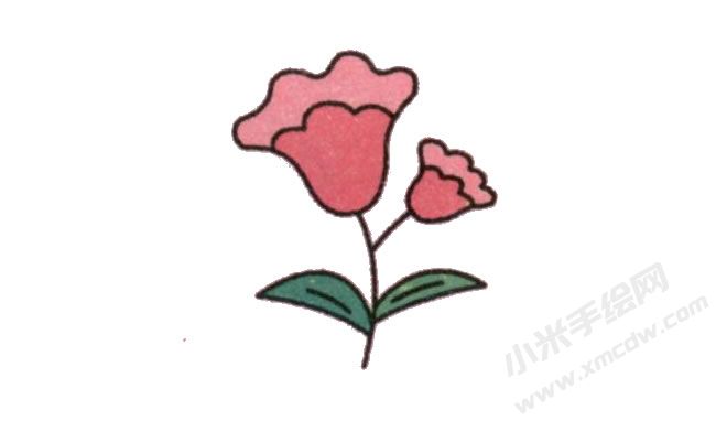 簡筆畫雞冠花畫法步驟圖示06.jpg