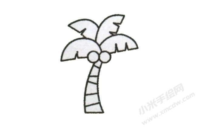 椰子樹幼兒簡筆畫步驟圖示05.jpg