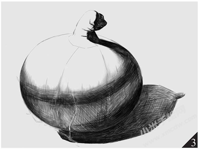 洋蔥素描畫法步驟圖示03.jpg