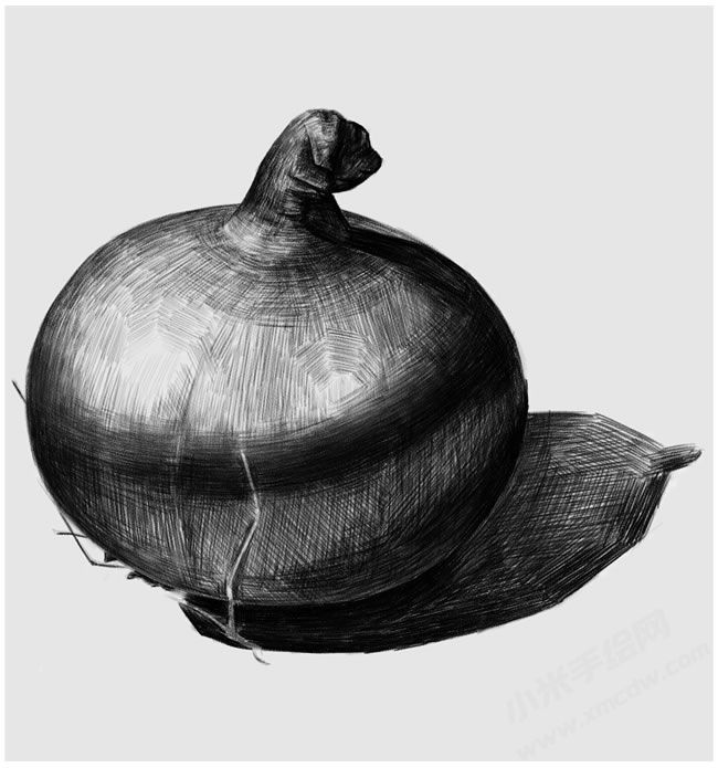 洋蔥素描畫法步驟圖示04.jpg