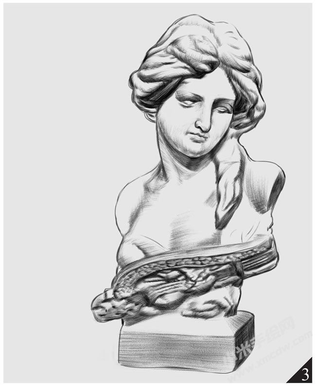 琴女素描畫法步驟圖示03.jpg