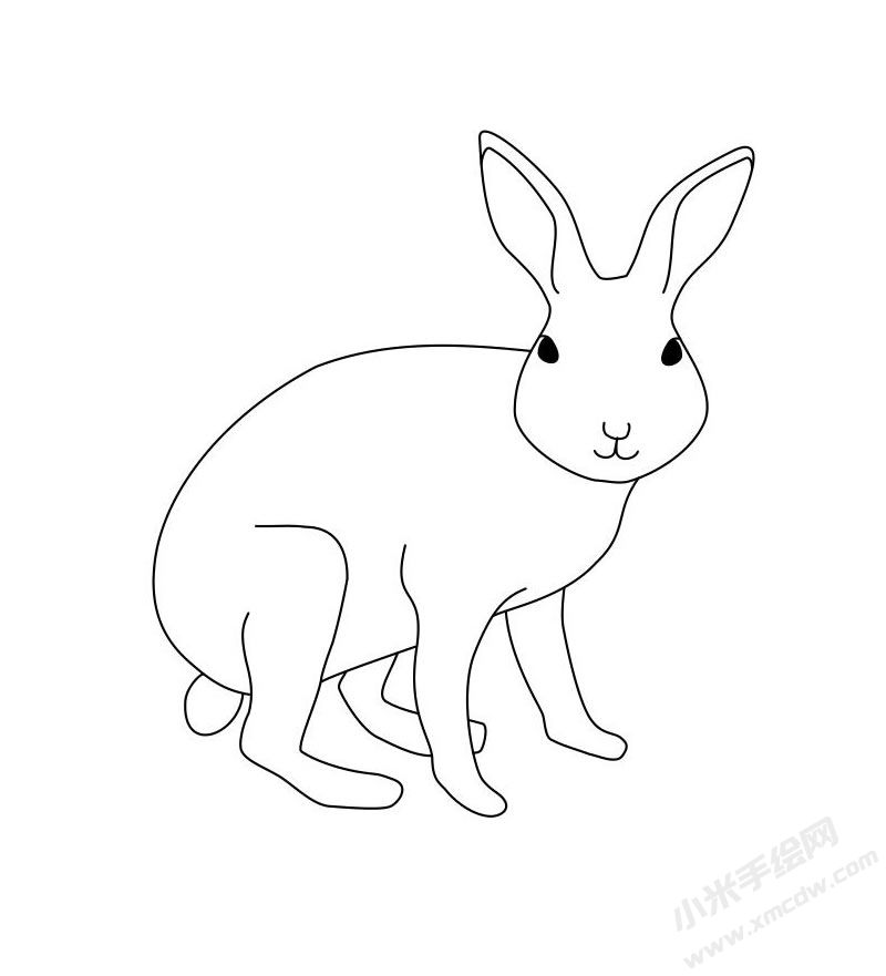 可愛兔子簡(jiǎn)筆畫圖片