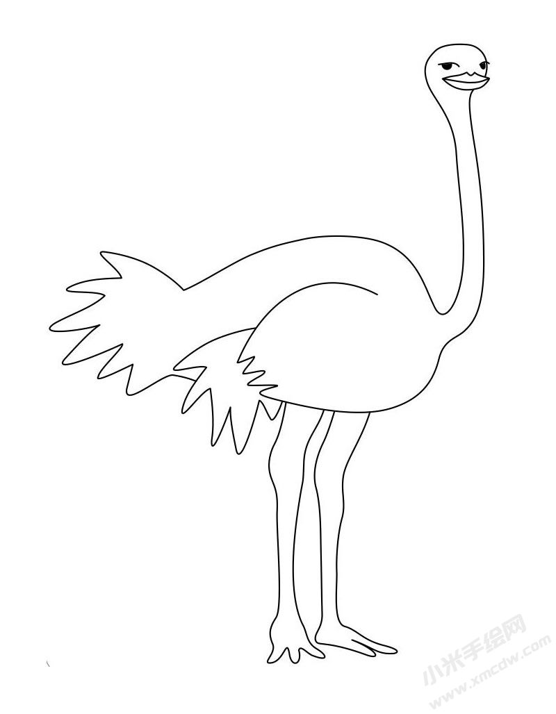 鴕鳥簡筆畫圖片