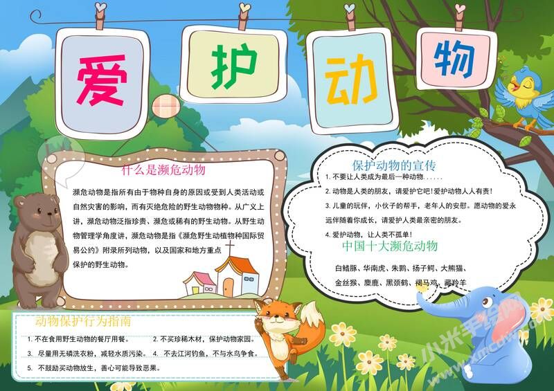 愛護動物手抄報內容模板有字版.jpg