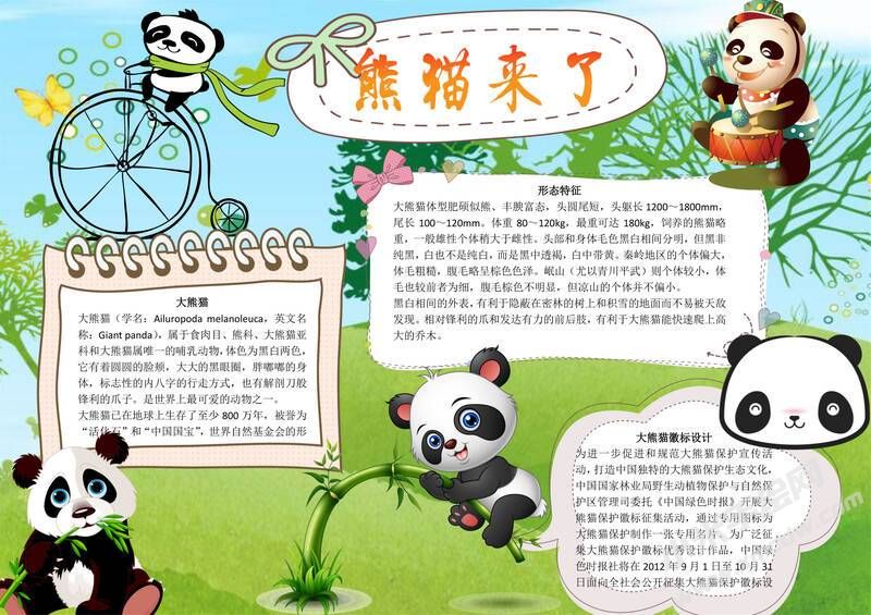 熊貓來了手抄報(bào)模板有字版（第二版）.jpg