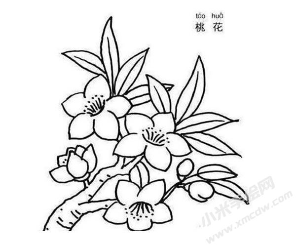 桃花簡筆畫圖片01.jpg