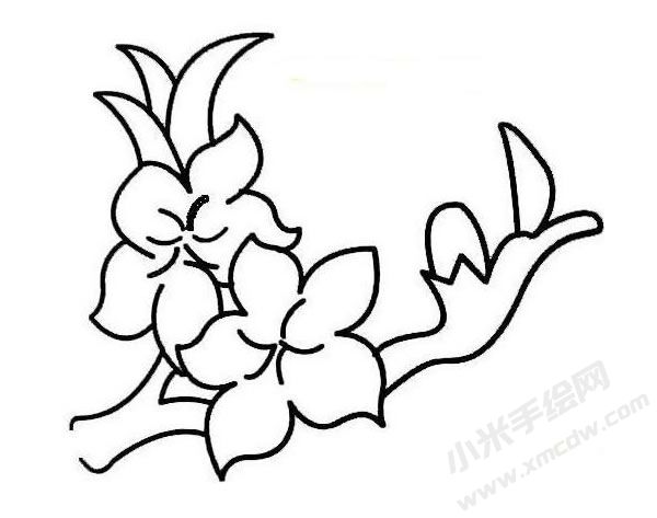 桃花簡筆畫圖片02.jpg