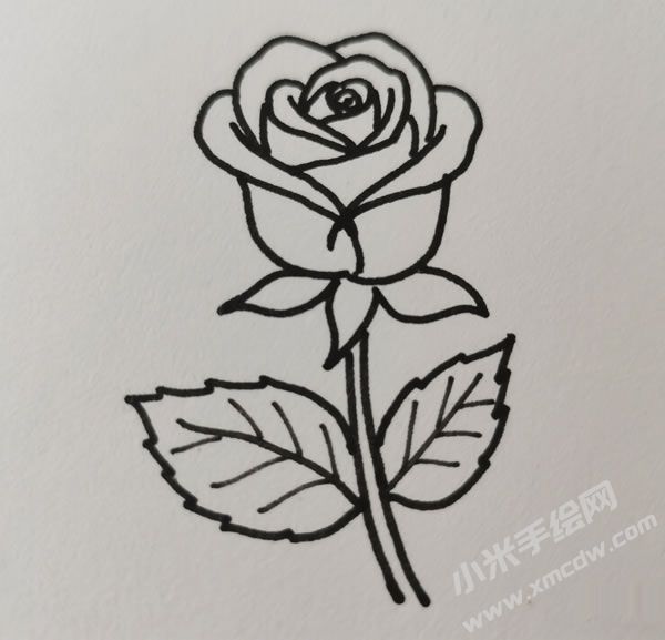 玫瑰花簡筆畫圖片03.jpg