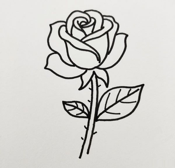玫瑰花簡筆畫圖片04.jpg