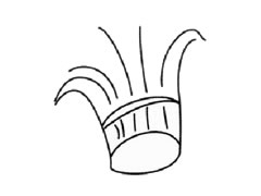韭菜兒童簡(jiǎn)筆畫步驟圖示
