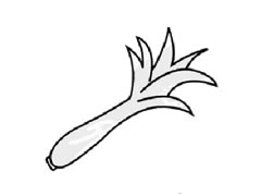 萵筍兒童簡(jiǎn)筆畫(huà)步驟圖示