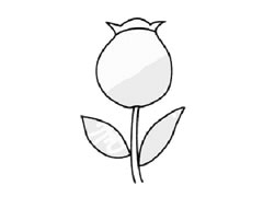 罌粟花簡(jiǎn)筆畫(huà)創(chuàng)作步驟圖示