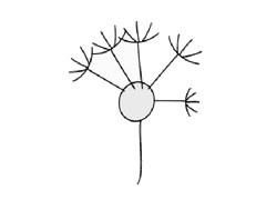 蒲公英兒童簡(jiǎn)筆畫步驟圖示