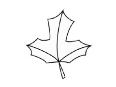 楓葉簡(jiǎn)筆畫(huà)步驟圖示
