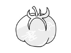 西紅柿兒童簡(jiǎn)筆畫(huà)步驟圖示