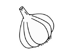 大蒜簡(jiǎn)筆畫創(chuàng)作步驟圖示