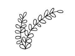 含羞草簡(jiǎn)筆畫(huà)創(chuàng)作步驟圖示