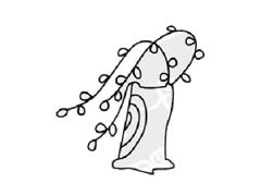 柳樹(shù)兒童簡(jiǎn)筆畫(huà)步驟圖示