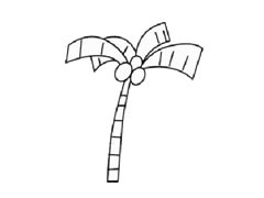 椰子樹(shù)兒童簡(jiǎn)筆畫(huà)步驟圖示