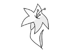 百合花簡(jiǎn)筆畫步驟圖示