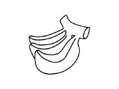 香蕉兒童簡(jiǎn)筆畫(huà)步驟圖示
