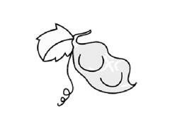 扁豆簡(jiǎn)筆畫步驟圖示