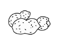 花生簡(jiǎn)筆畫(huà)步驟圖示