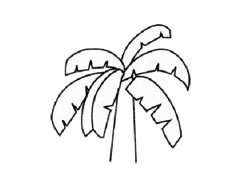 芭蕉樹(shù)兒童簡(jiǎn)筆畫(huà)步驟圖示