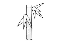 竹子簡(jiǎn)筆畫(huà)創(chuàng)作步驟圖示