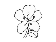 杜鵑花簡(jiǎn)筆畫創(chuàng)作步驟圖示